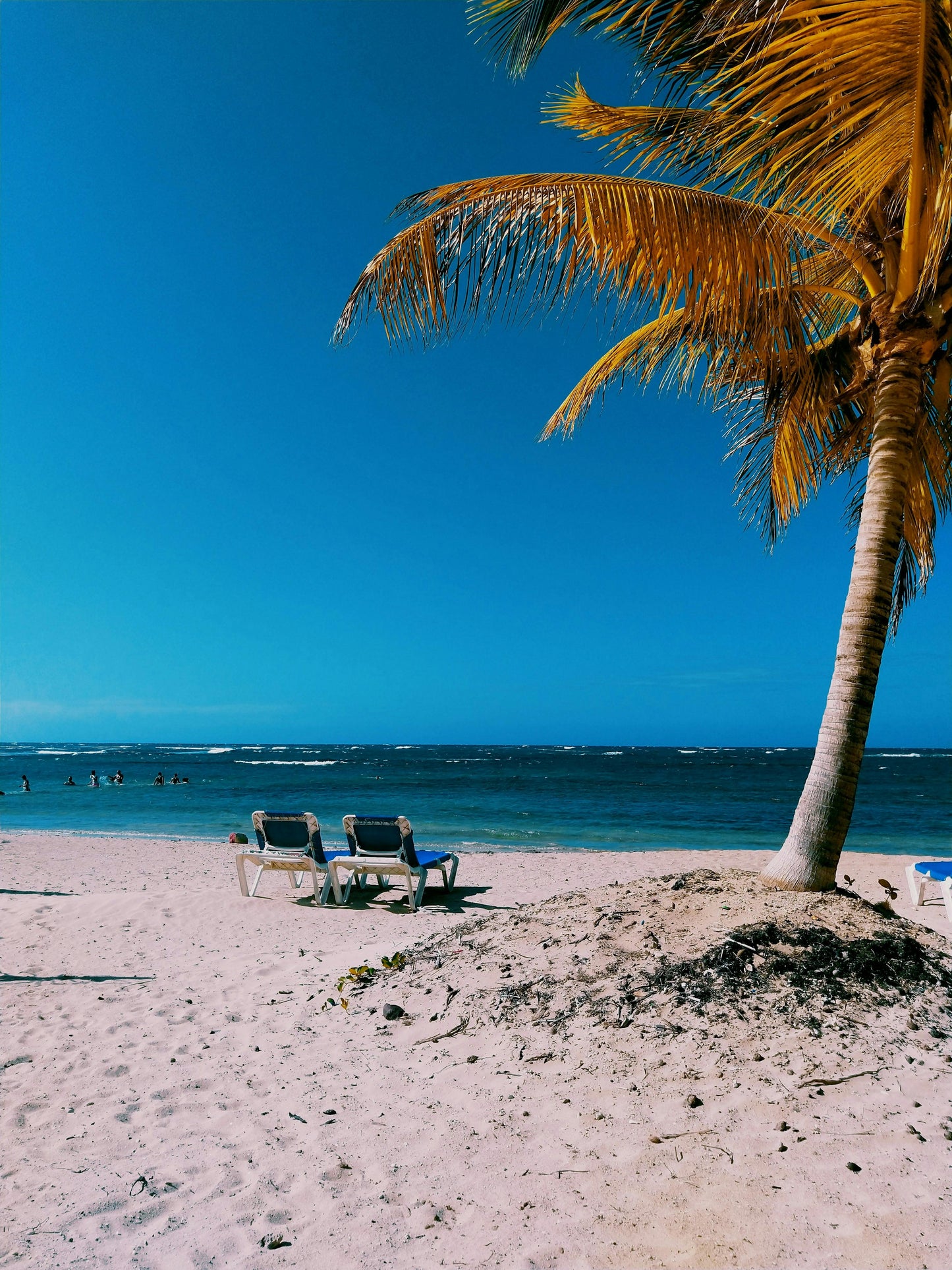 JULIO PUNTA CANA