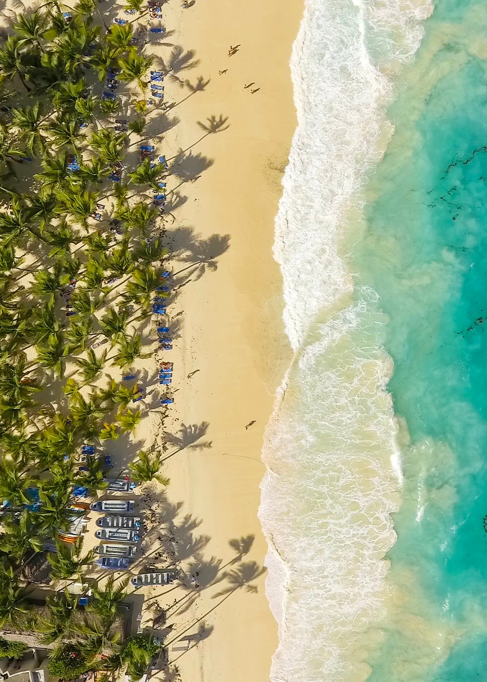 EXPERIENCIA JULIO PUNTA CANA