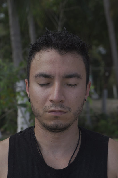 EXPERIENCIA NOVIEMBRE