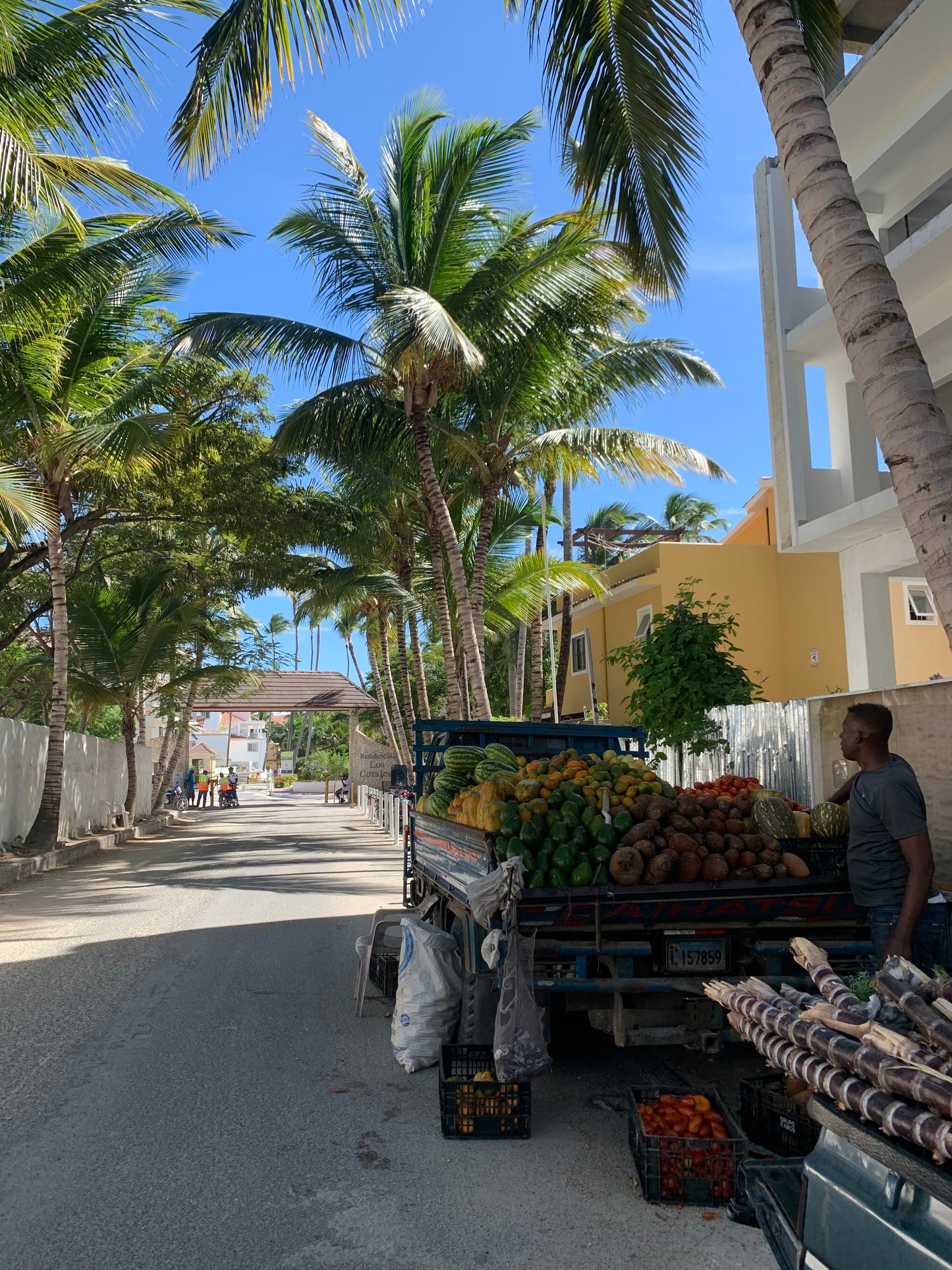 EXPERIENCIA JULIO PUNTA CANA