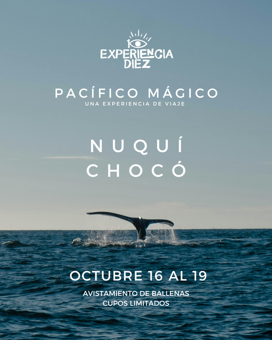 EXPERIENCIA OCT