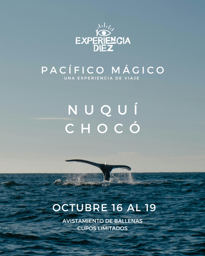 EXPERIENCIA OCT