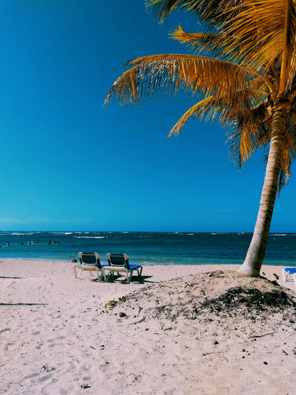 EXPERIENCIA JULIO PUNTA CANA