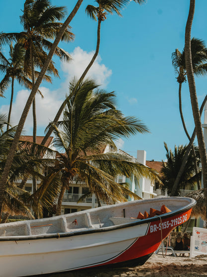 EXPERIENCIA JULIO PUNTA CANA